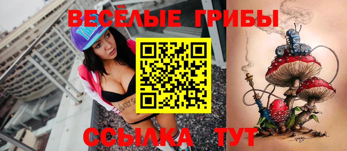 Галлюциногенные грибы Psilocybe Чапаевск